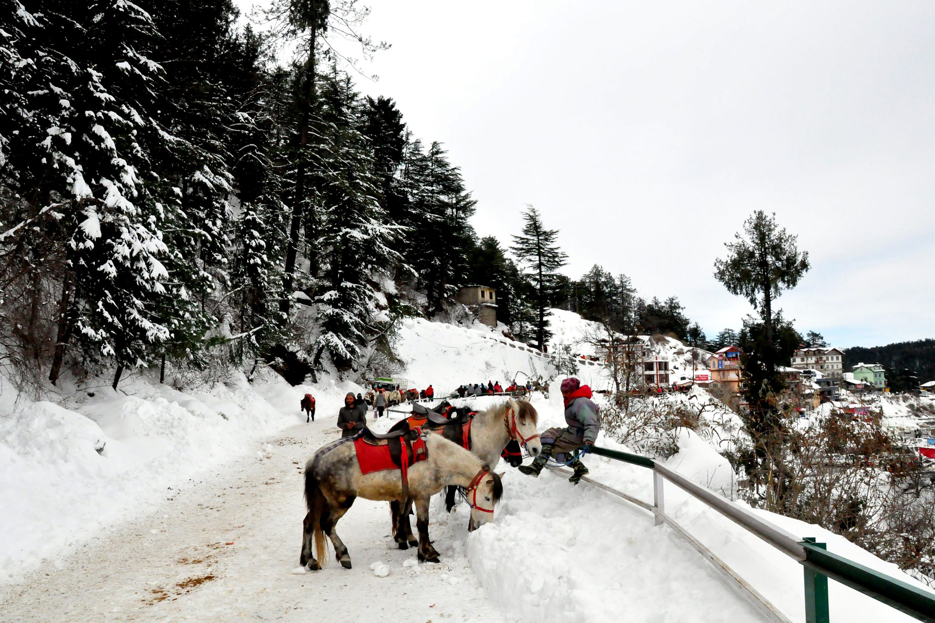 The Himalayan Villas
